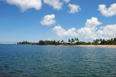 2007_05_30_HAWAII (17) (Large).JPG